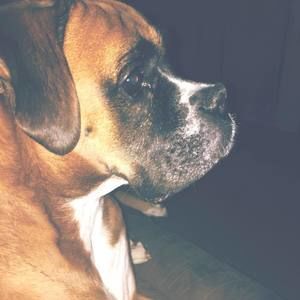 Meet your Posher, Matthew